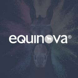 eq Unsere Marken Bubblenavi equinova
